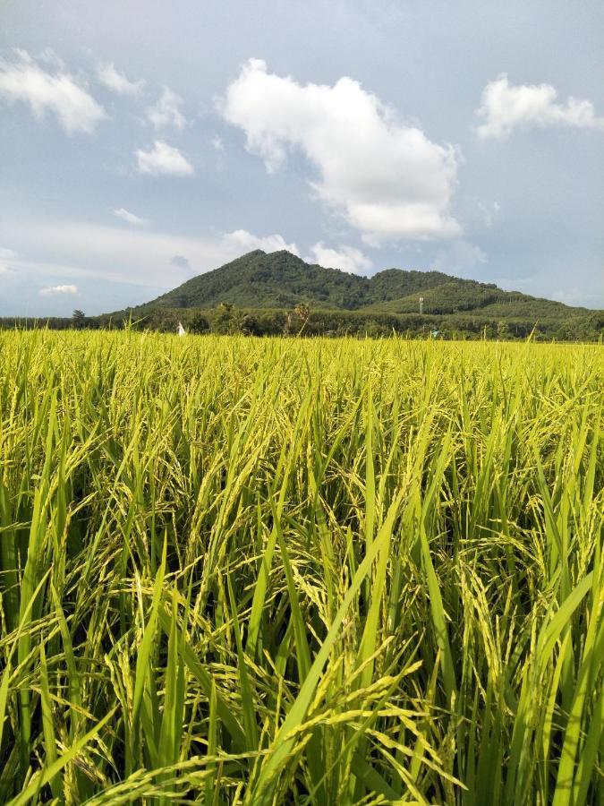 Baan Gebsup บ้านเก็บทรัพย์ Ko Yao Noi Esterno foto